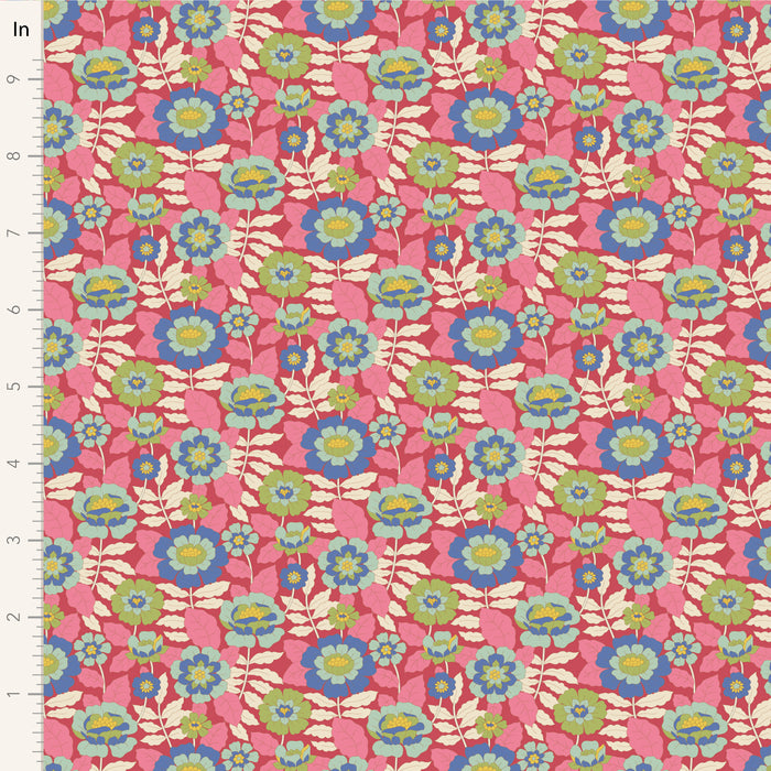 Wallflower, Beverly Pink