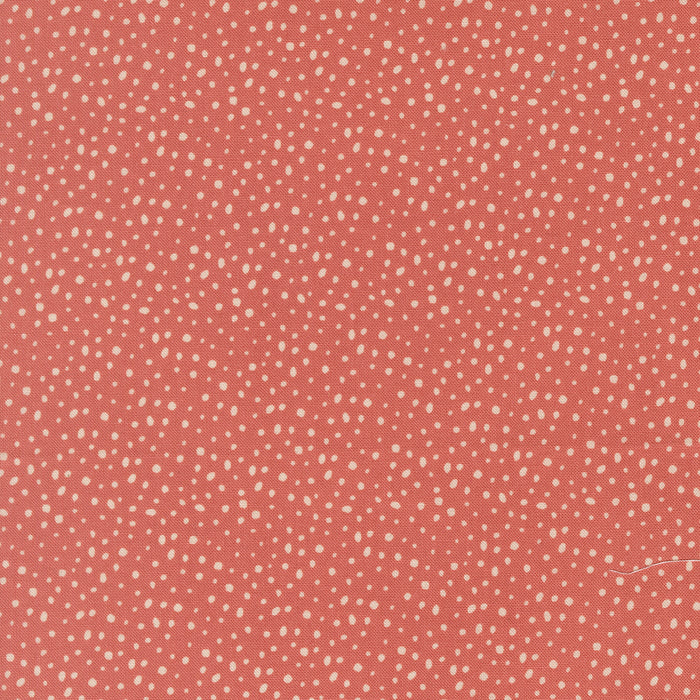 *PRE-ORDER* Gingerbread Lane, Flurry Dots in Rosy