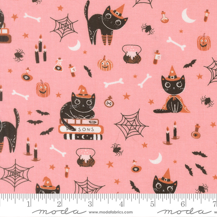 Purrs and Boos, Cats in Candy