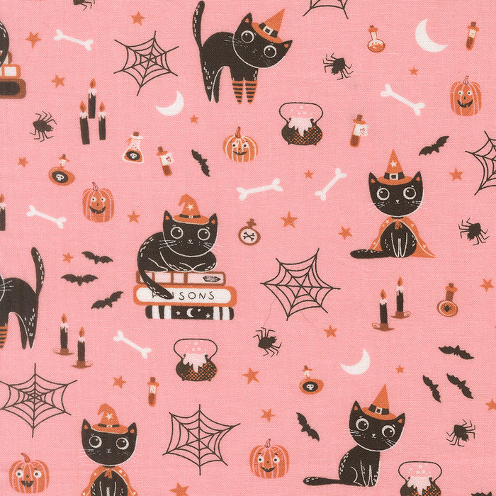 Purrs and Boos, Cats in Candy