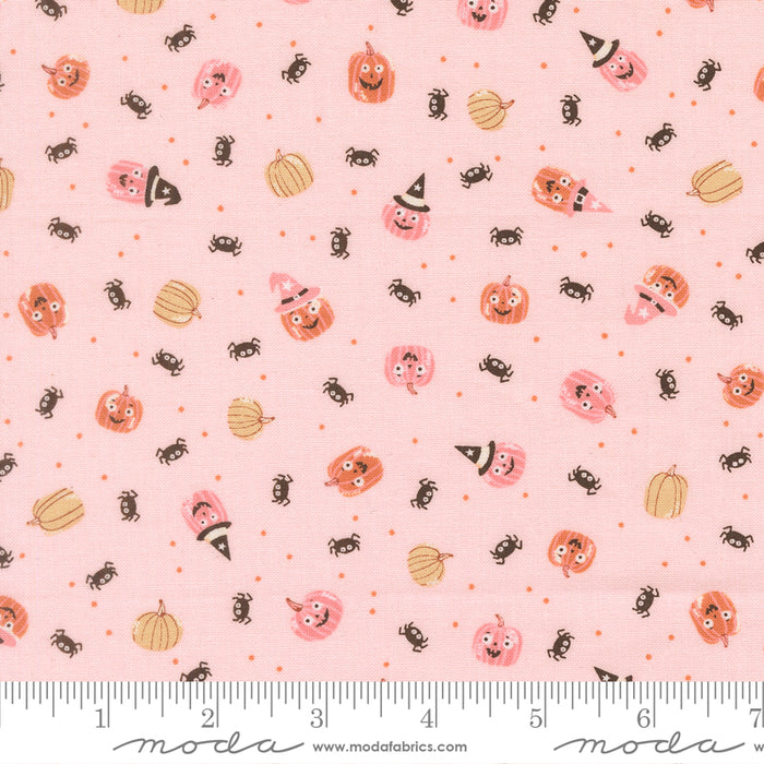 Purrs and Boos, Friendly Pumpkin in Purrfect Pink