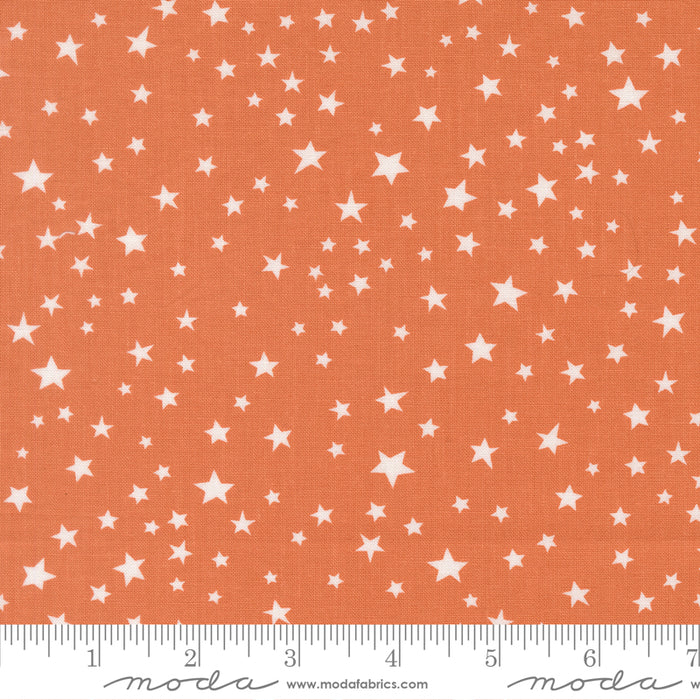 Purrs and Boos, Stars in Pumpkin
