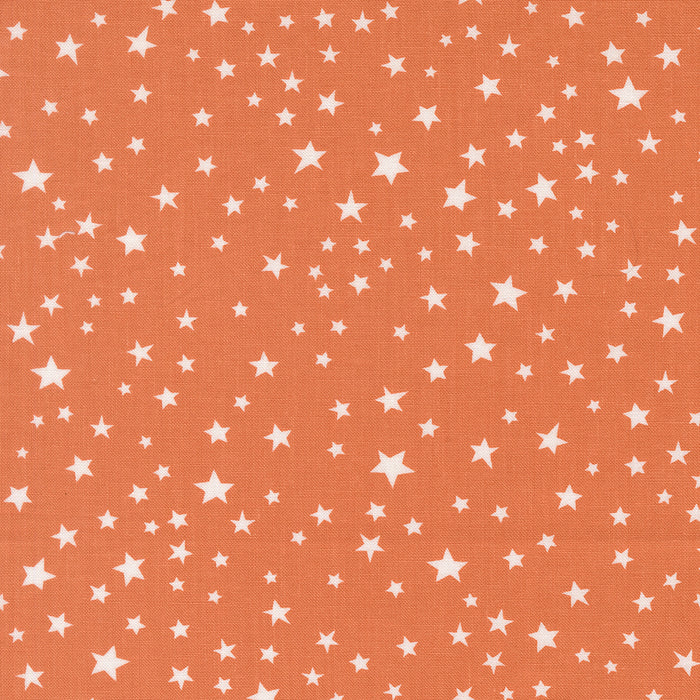 Purrs and Boos, Stars in Pumpkin