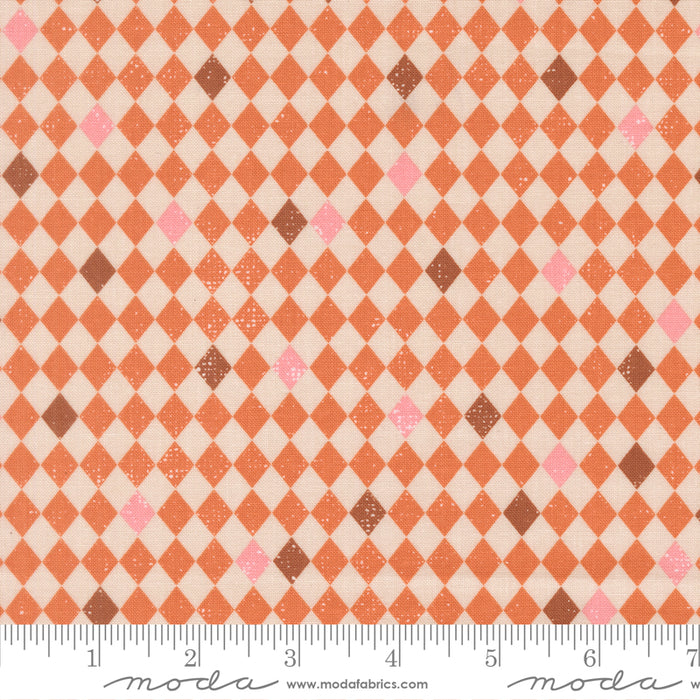 Purrs and Boos, Harlequin in Pumpkin