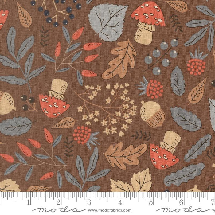 Nature's Sketchbook, Forest Finds in Bark