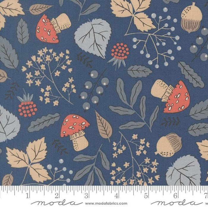Nature's Sketchbook, Forest Finds in Twilight