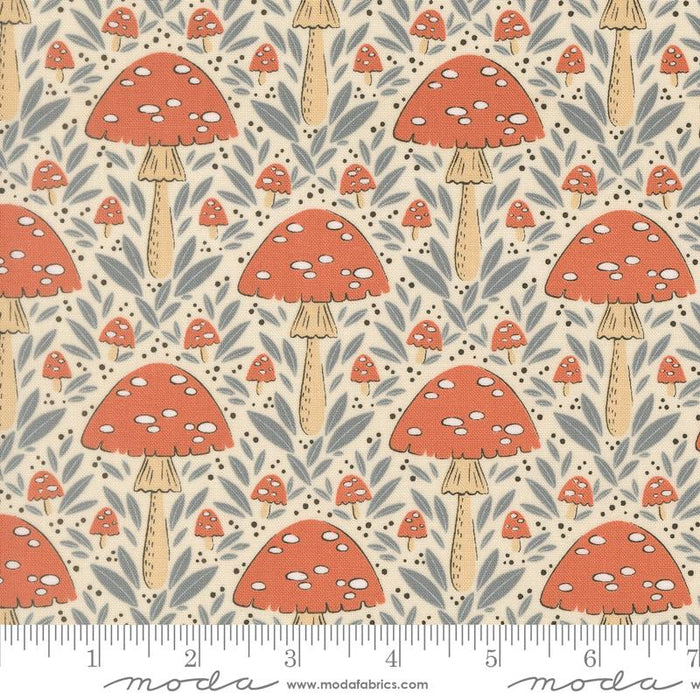 Nature's Sketchbook, Mushroom in Pearl