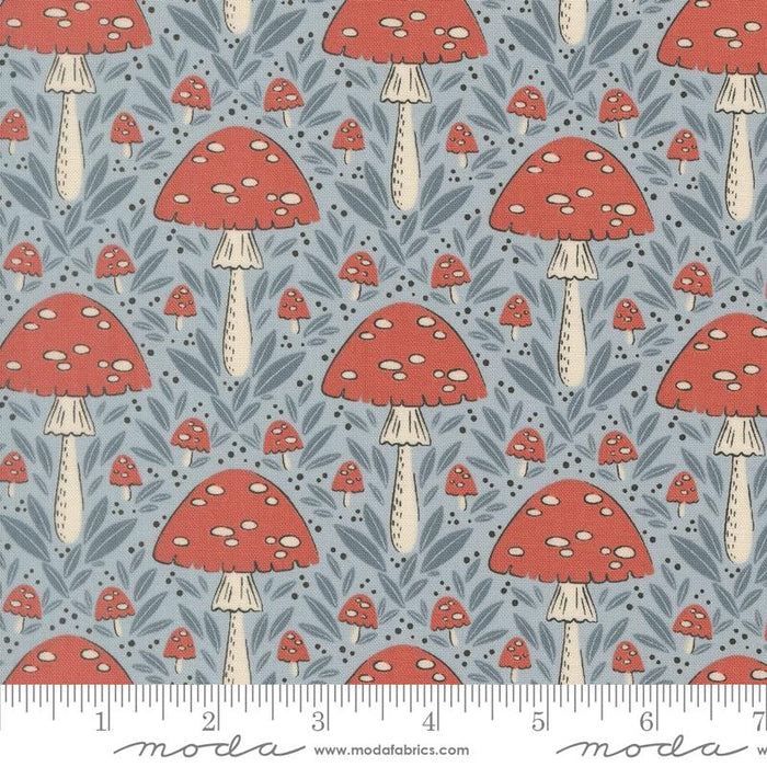 Nature's Sketchbook, Mushroom in Sky