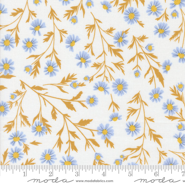 Sun-Drenched, Wild Daisy Chain in Cloud