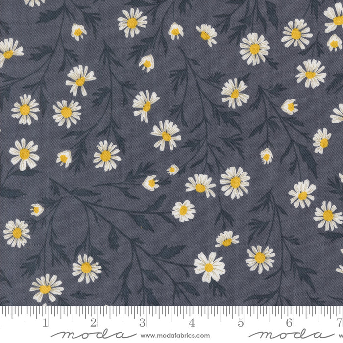 Sun-Drenched, Wild Daisy Chain in Indigo