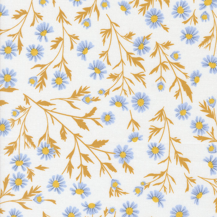 Sun-Drenched, Wild Daisy Chain in Cloud