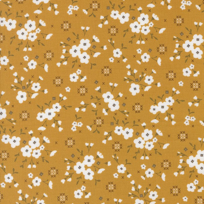 Sun-Drenched, Stitched Lullaby in Golden