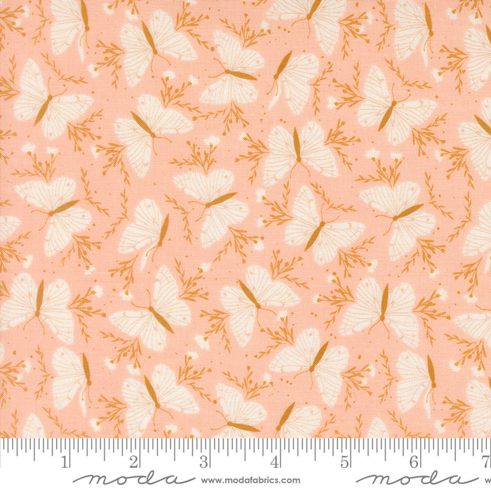 Wildbriar, Flutter Vine in Blush