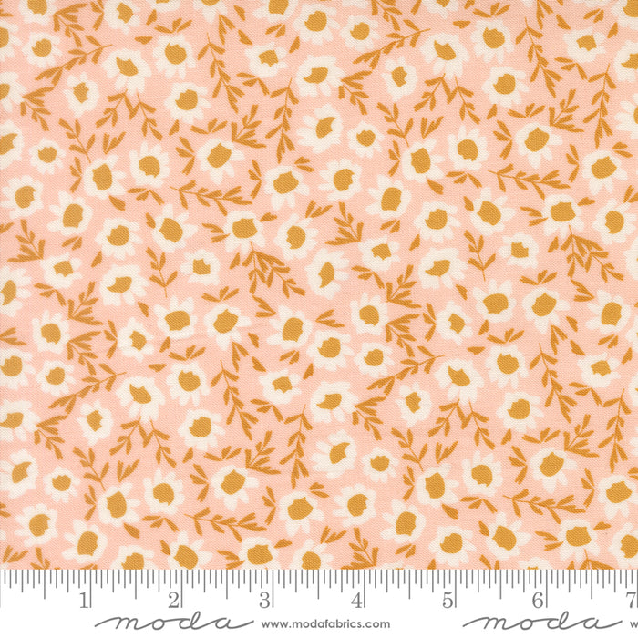 Wildbriar, Blossoms in Blush