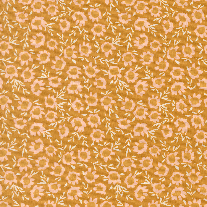 Wildbriar, Blossoms in Golden
