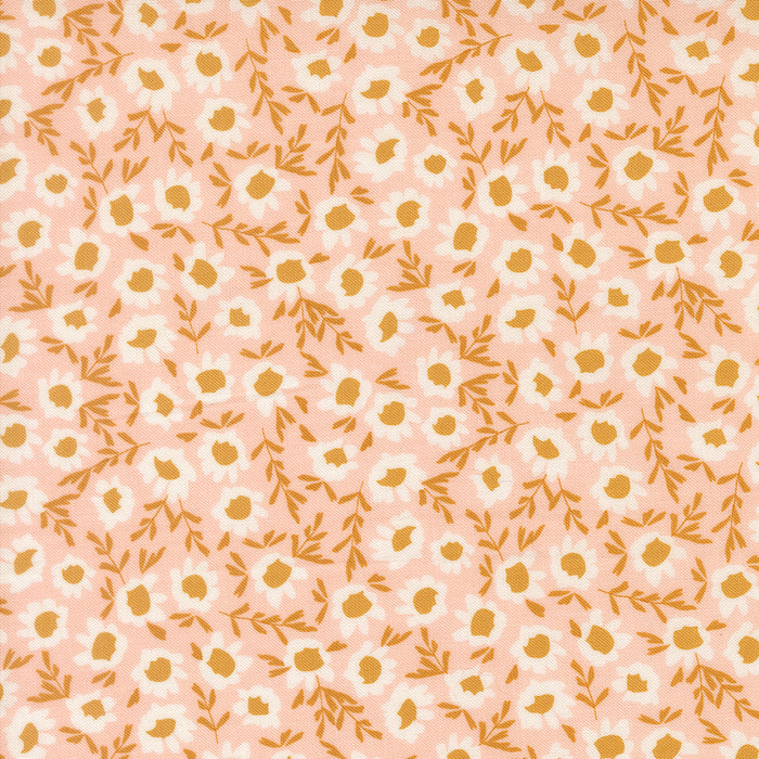 Wildbriar, Blossoms in Blush