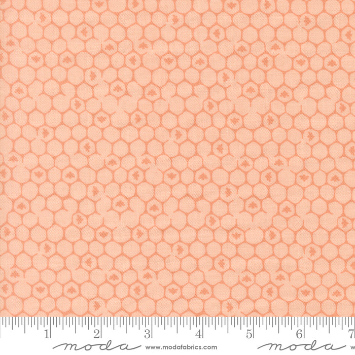 Wildbriar, Honeycomb in Blush