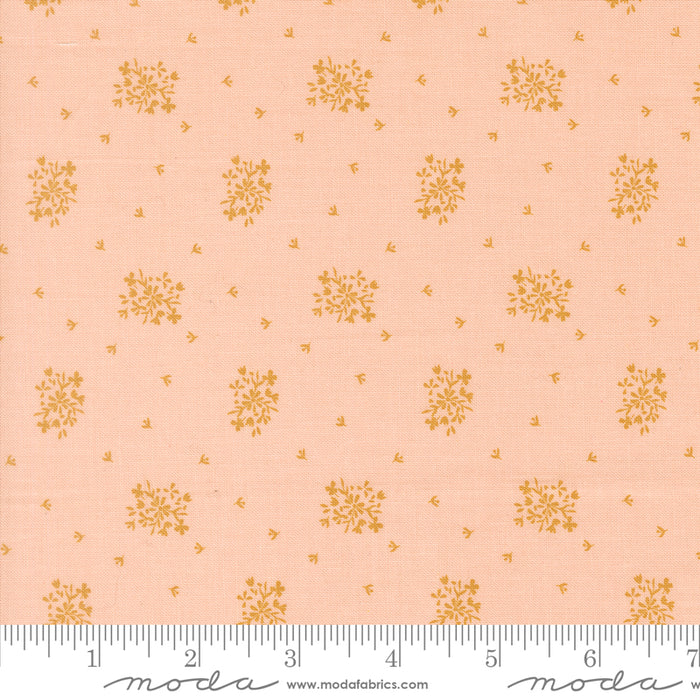 Wildbriar, Flower Girl in Blush