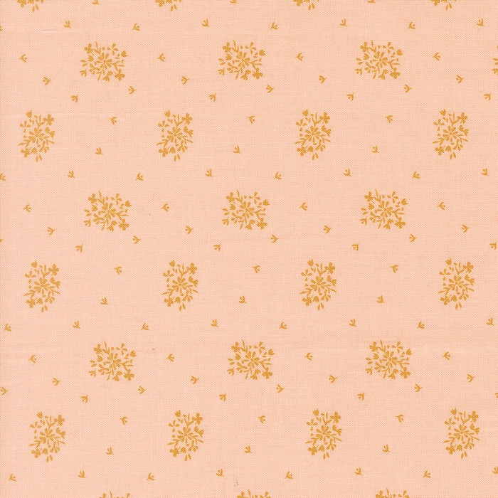 Wildbriar, Honeycomb in Blush