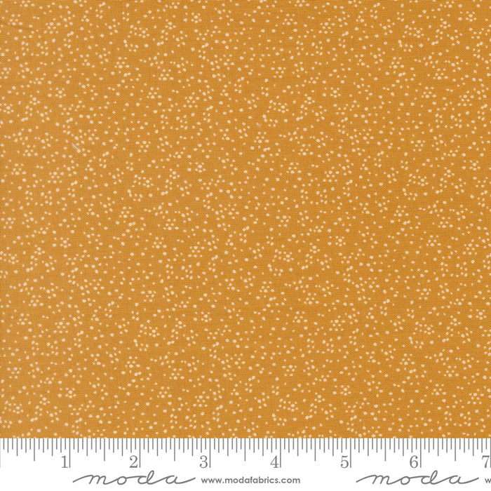 Wildbriar, Pebbles in Golden