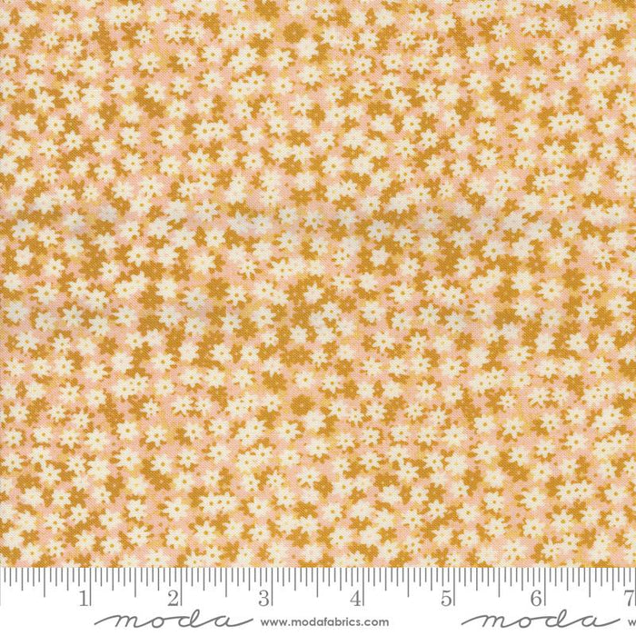 Bee Garden, Floral Phase in Beeswax