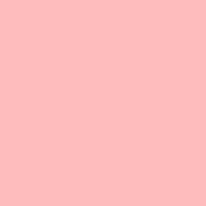 Ruby + Bee Solids in Shell Pink