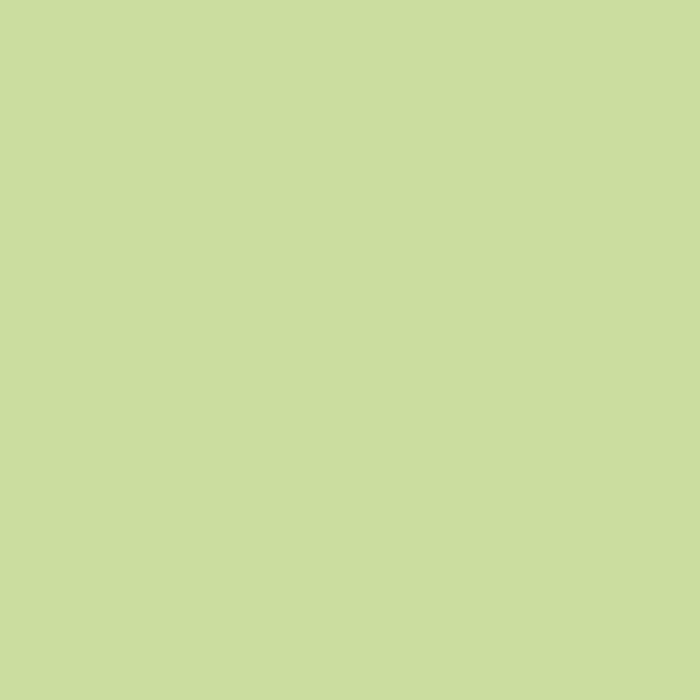 Ruby + Bee Solids in Matcha