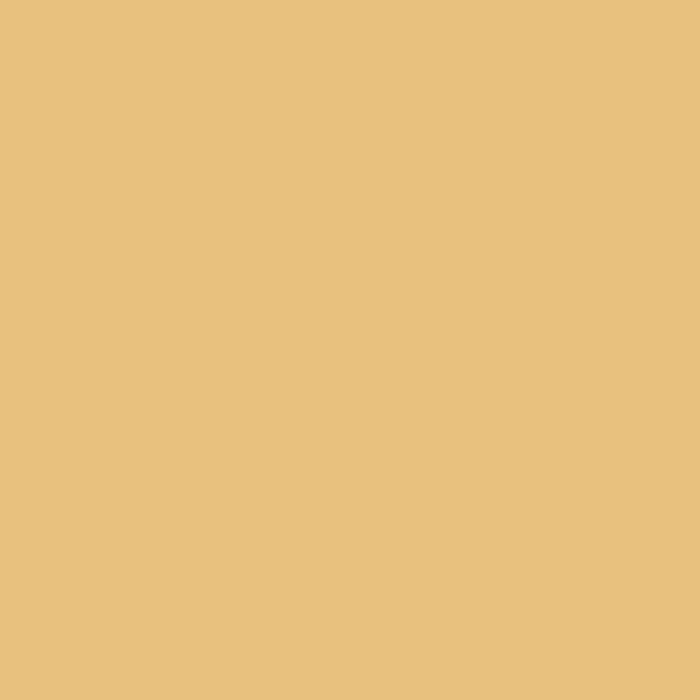 Ruby + Bee Solids in Sienna