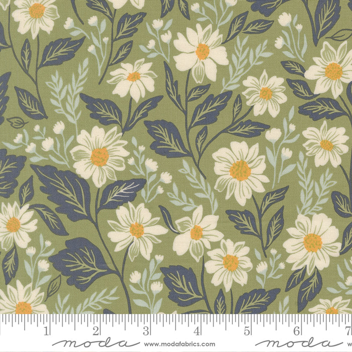*PRE-ORDER* True Love, Romance Blooms in Fern