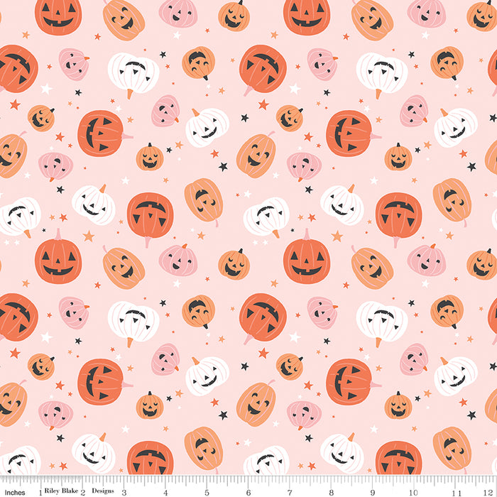 Hey Pumpkin, Pumpkins in Blush