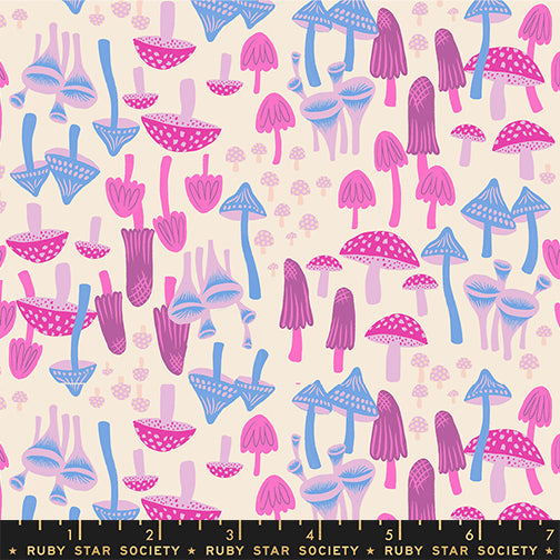 Hello Alice, Mushroom Land in Shell