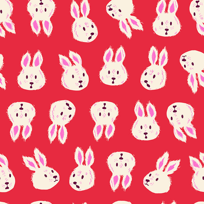 Hello Alice, Rushing Rabbit in Ruby