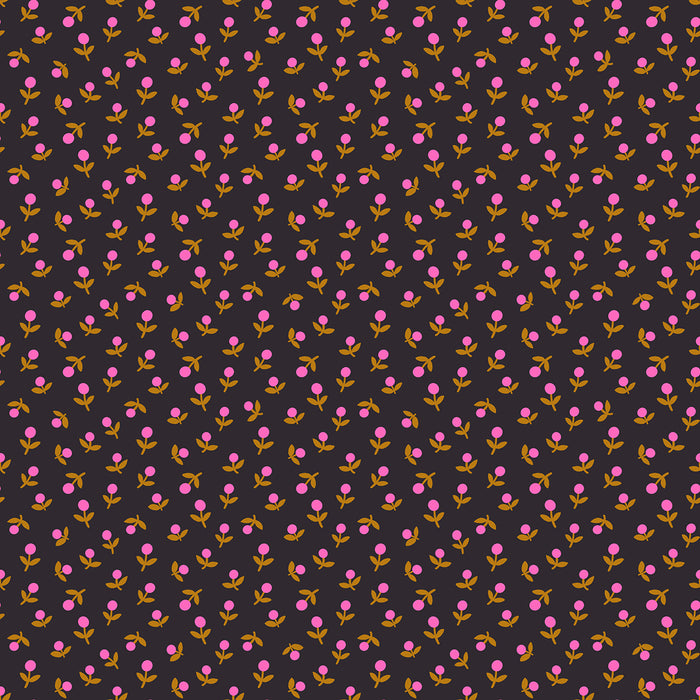 Catnap, Sprout in Black