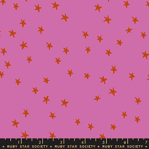 Starry in Heliotrope (2025)