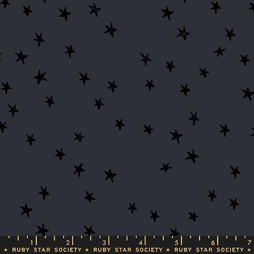 Starry in Charcoal (2025)