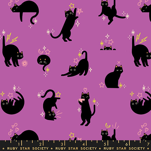 *PRE-ORDER* Freaky Familiars, Catwalk in Witchy