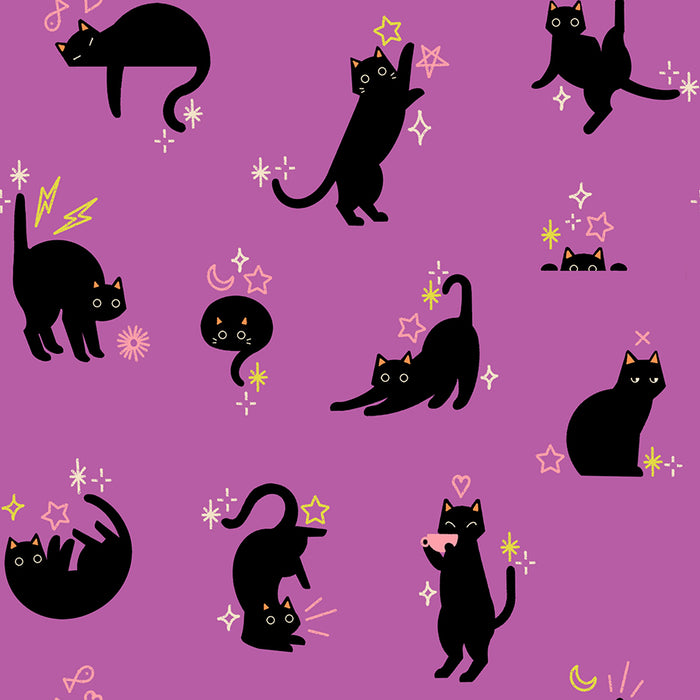 *PRE-ORDER* Freaky Familiars, Catwalk in Witchy