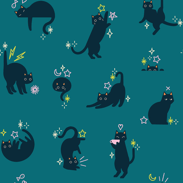 *PRE-ORDER* Freaky Familiars, Catwalk in Storytime