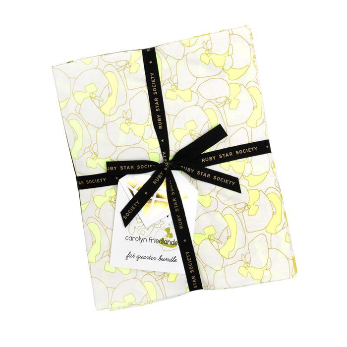 Memento fat quarter bundle - Carolyn Friedlander