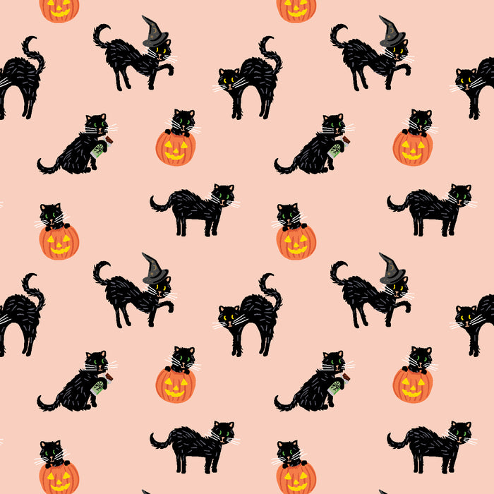 Halloween, Black Cat in Blush