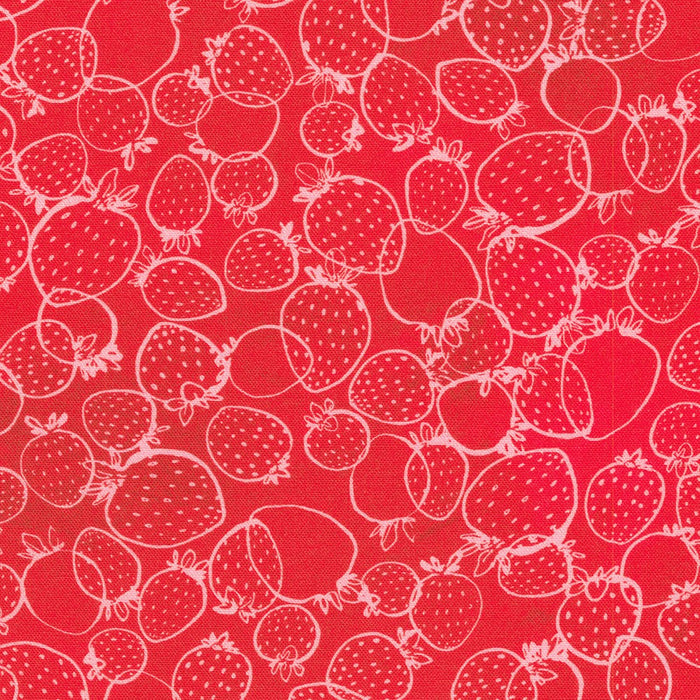 Strawberry Season, Strawberry Sketches in Cranberry
