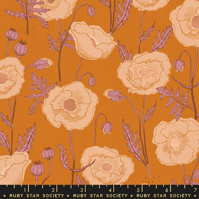 Unruly Nature, Icelandic Poppies in Caramel